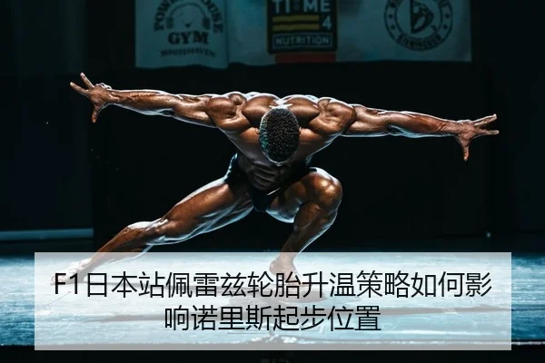 ri-ben-zhan-pei-lei-zi-lun-tai-sheng-wen-ce-lve-ru-he-ying-xiang-nuo-li-si-qi-bu-wei-zhi-2-234.jpg